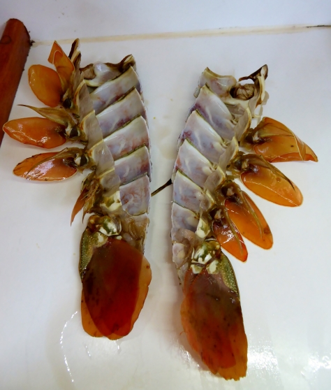 Crayfish Mornay - the empty shells